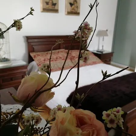 Casa Professor Moutinho